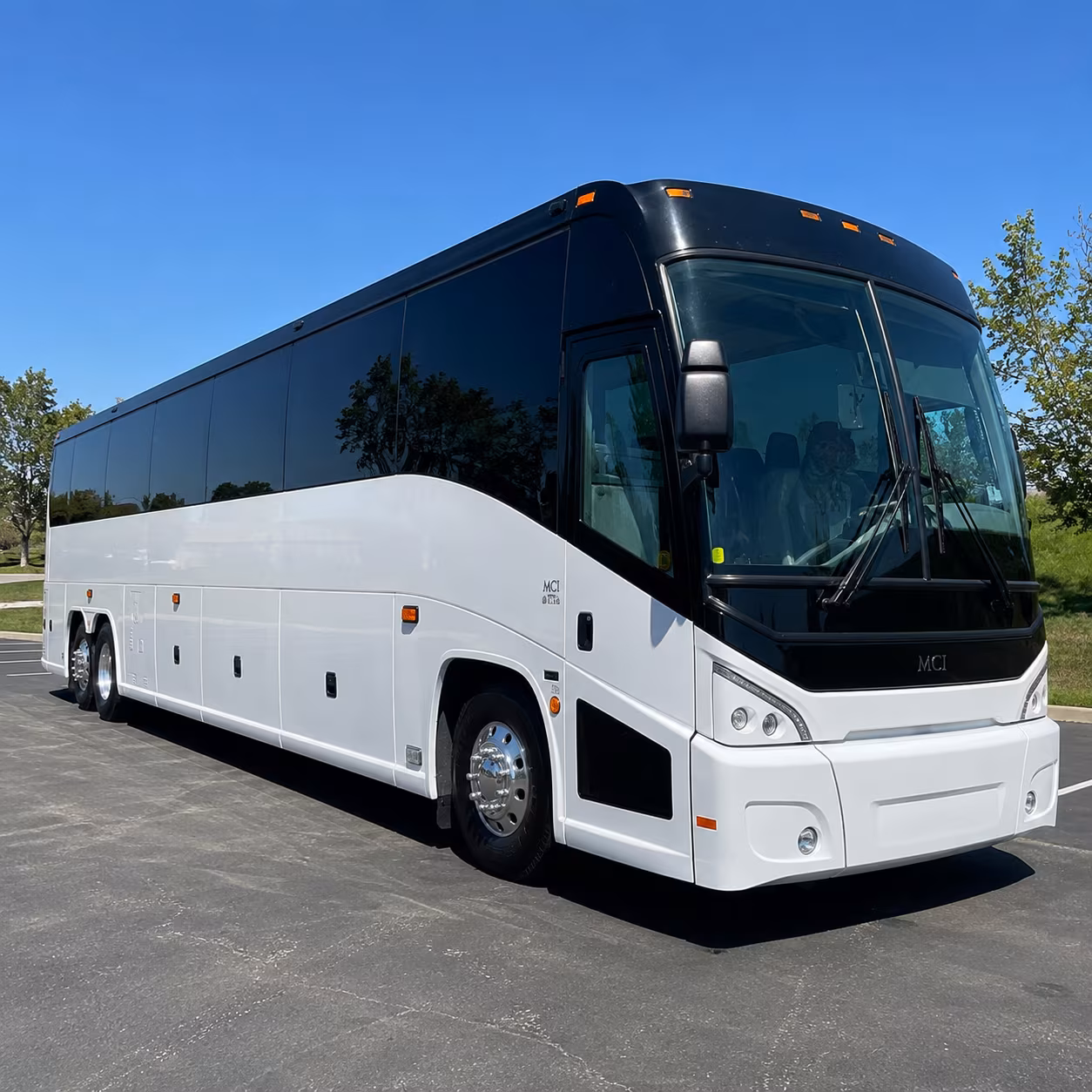 one search for your springdale group trip