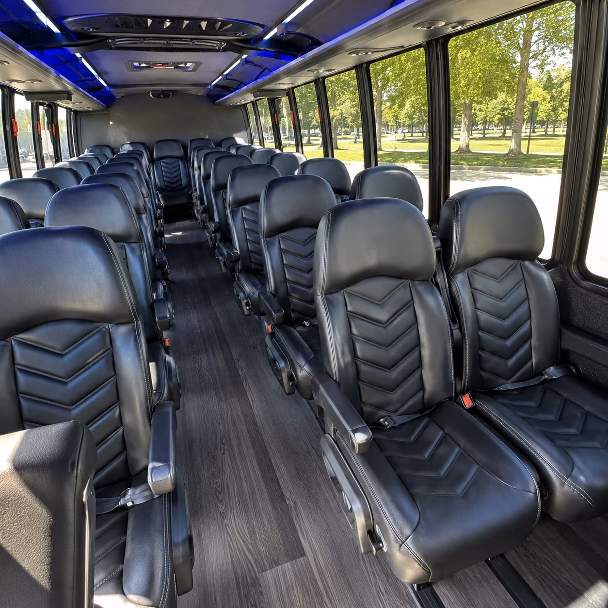 springdale field trip transportation
